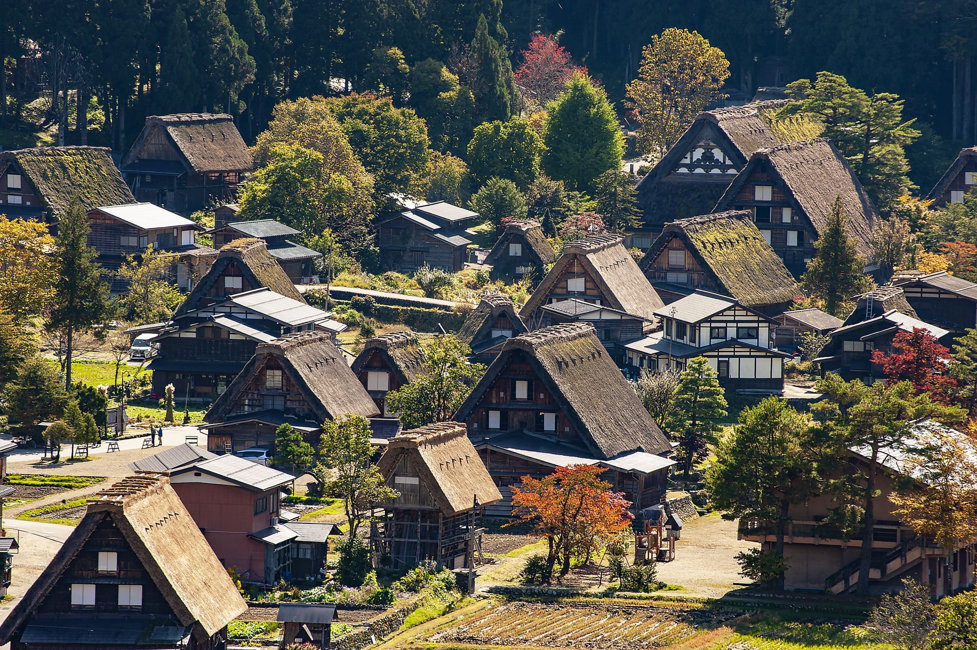 SHIRAKAWAGO 1