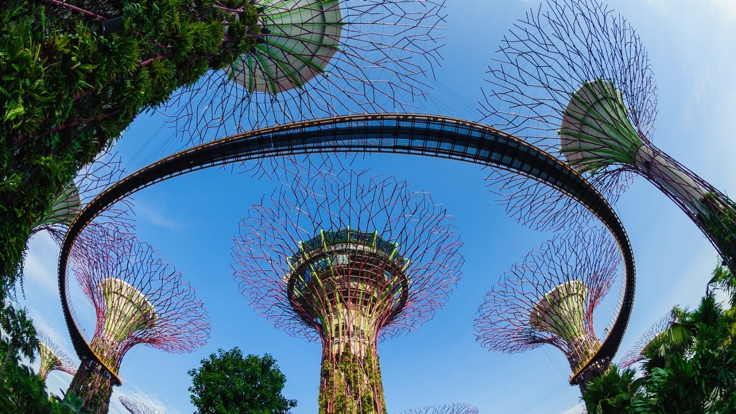 Singapore - Gardens by the Bay1